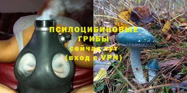 стафф Зеленокумск