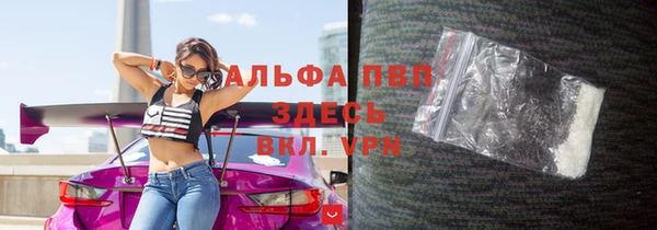 стафф Зеленокумск