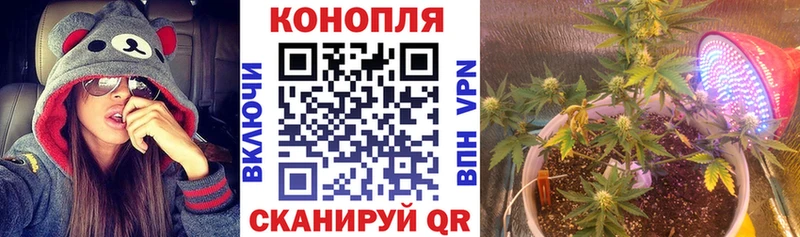Купить закладки  Чусовой  Бошки марихуана индика 